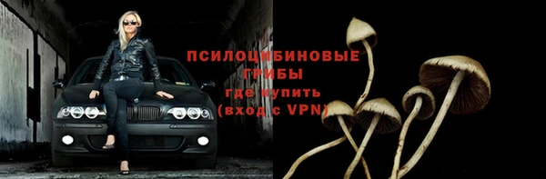 индика Каменск-Шахтинский