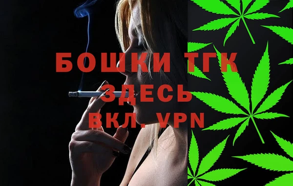 индика Каменск-Шахтинский