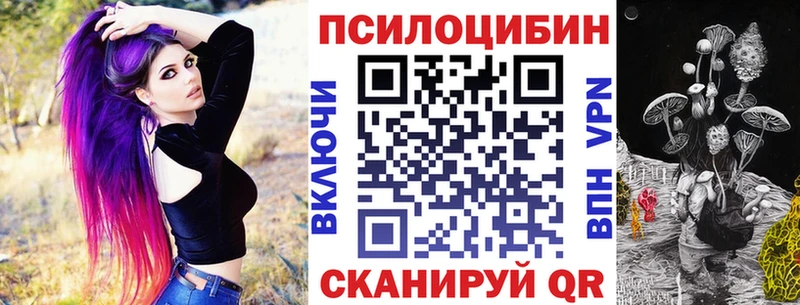 Купить закладки  Мензелинск  Псилоцибиновые грибы Psilocybe 